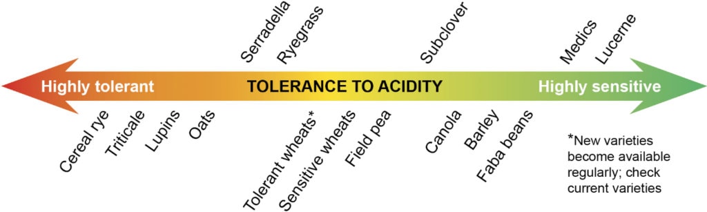 fig-2-relaive-tolerance