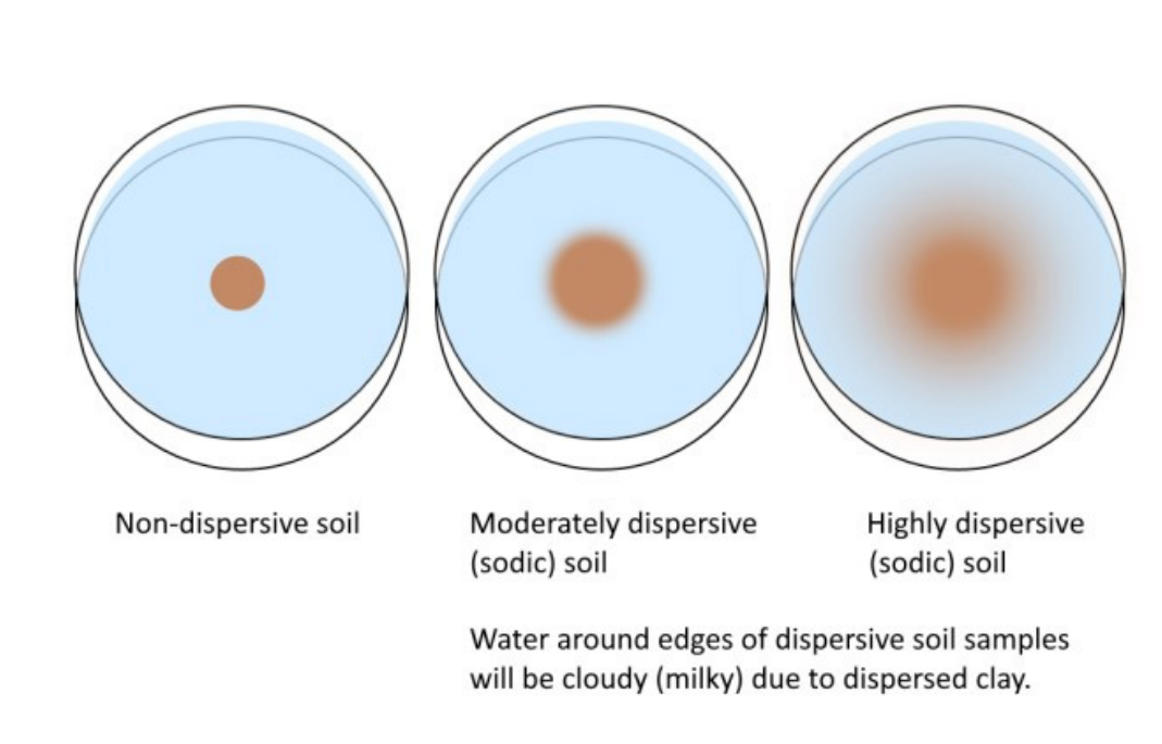 fig 6 dispersion