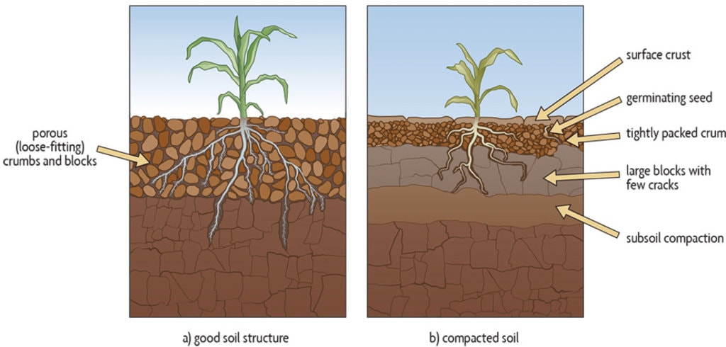 fig-7-plants-growing