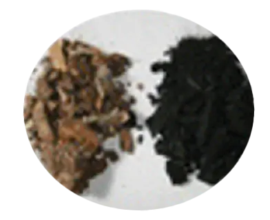 Biologicals Biochar