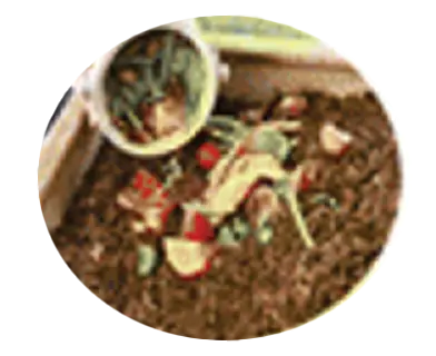 Bioloicals Compost