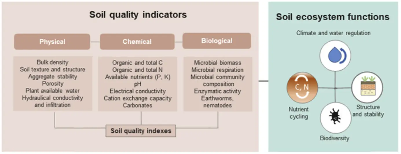 Soil Quality Indicators